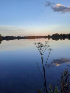 Jacquelien 07 - Gaasperplas